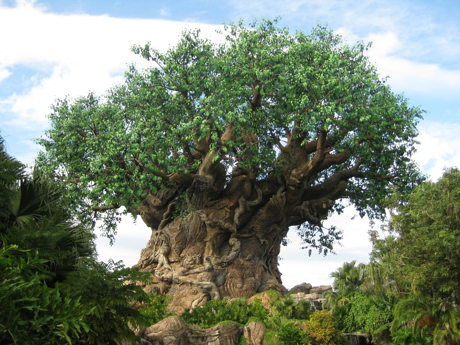 No Disney's Animal Kingdom você poderá conhecer os mais lindos animais, além de desfrutar de áreas como Ásia e África; do mundo submarino e do pré-histórico. O parque abriga inúmeras espécies e recria diversos tipos de habitat, com muito verde, montanhas, dinossauros e rios, além da famosa Árvore da Vida.